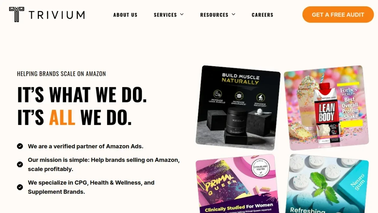 Trivium Group homepage screenshot, October 2026
