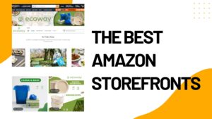 Best Amazon Storefronts