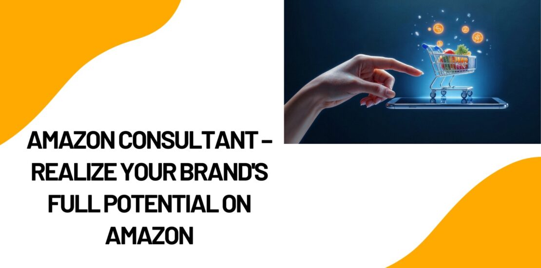 Amazon Consultant